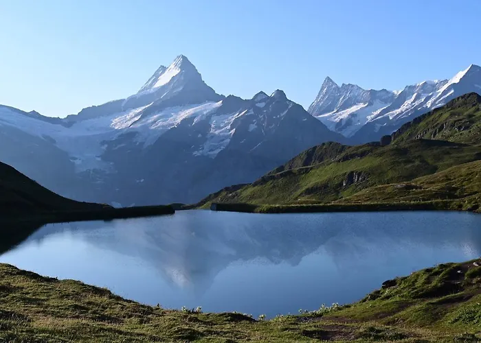 Hirschen Grindelwald