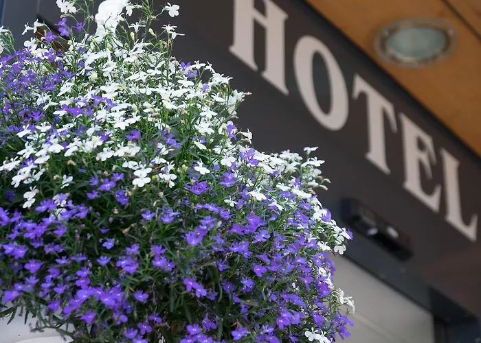 Hirschen Lägenhet Grindelwald