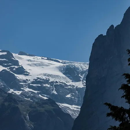 Hirschen * Grindelwald