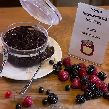 Hirschen Apartment *