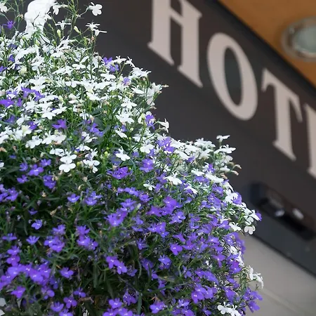 Hirschen Apartment Grindelwald