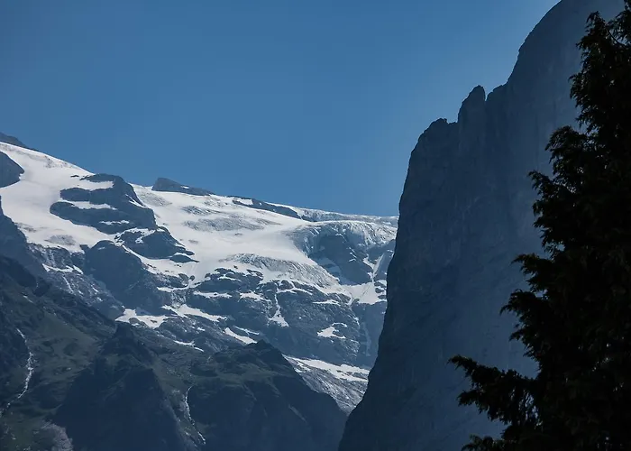 Hirschen * Grindelwald